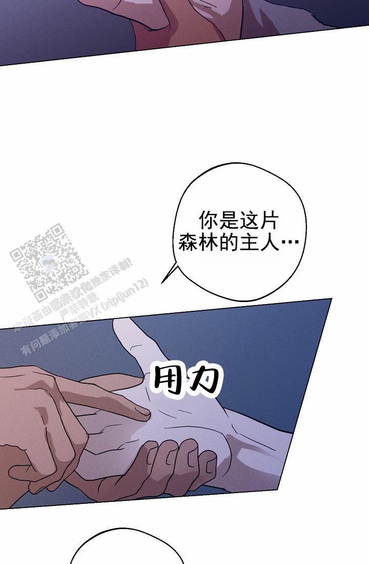 第29话13