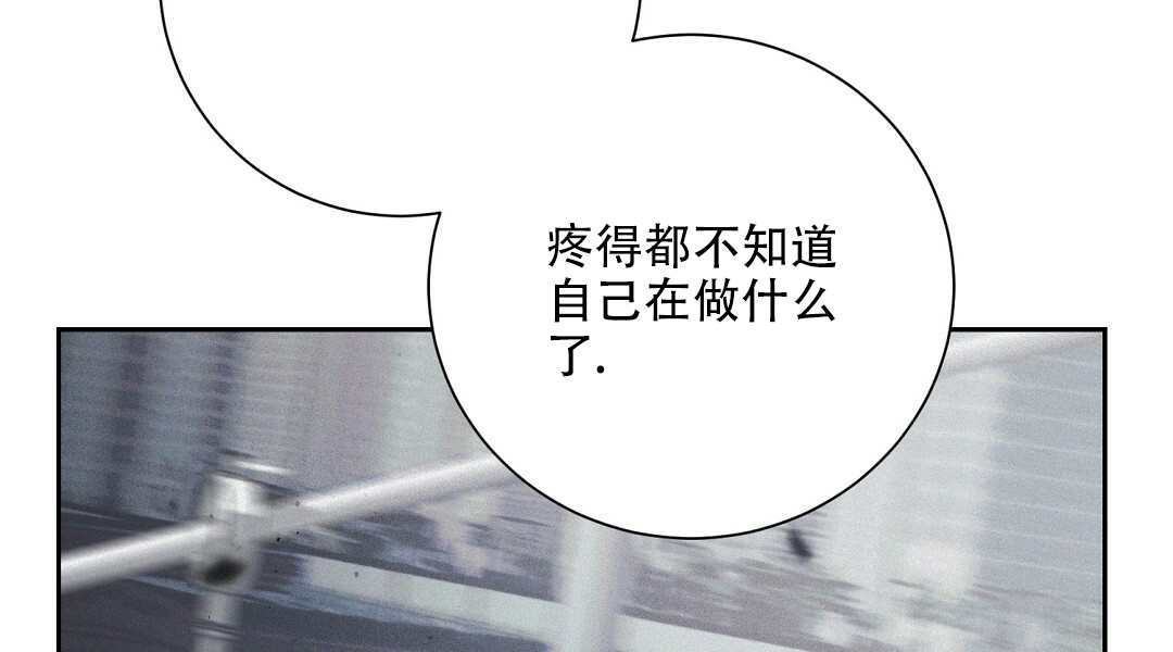 啵乐官网免费漫画11