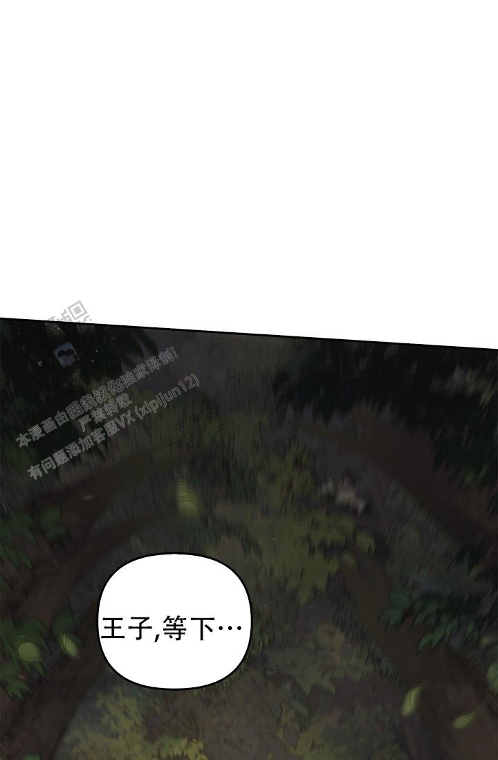 第29话0